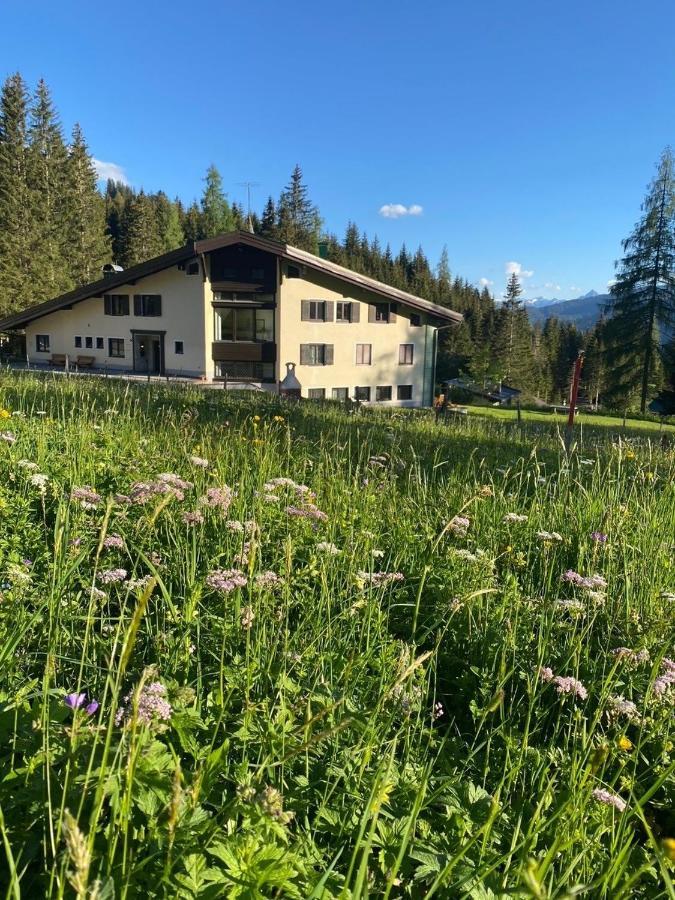 Appartementhaus Hochkoenig - Panoramablick Mühlbach am Hochkönig 外观 照片