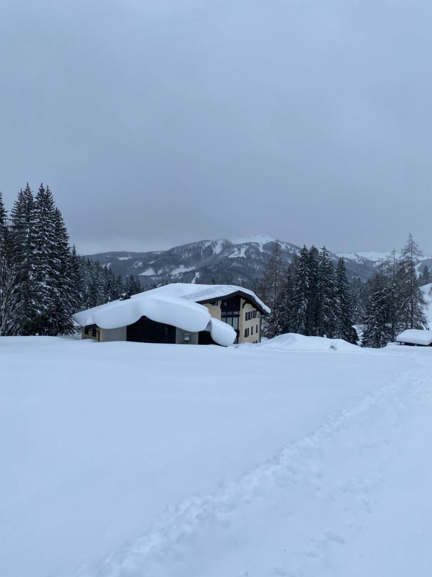 Appartementhaus Hochkoenig - Panoramablick Mühlbach am Hochkönig 外观 照片